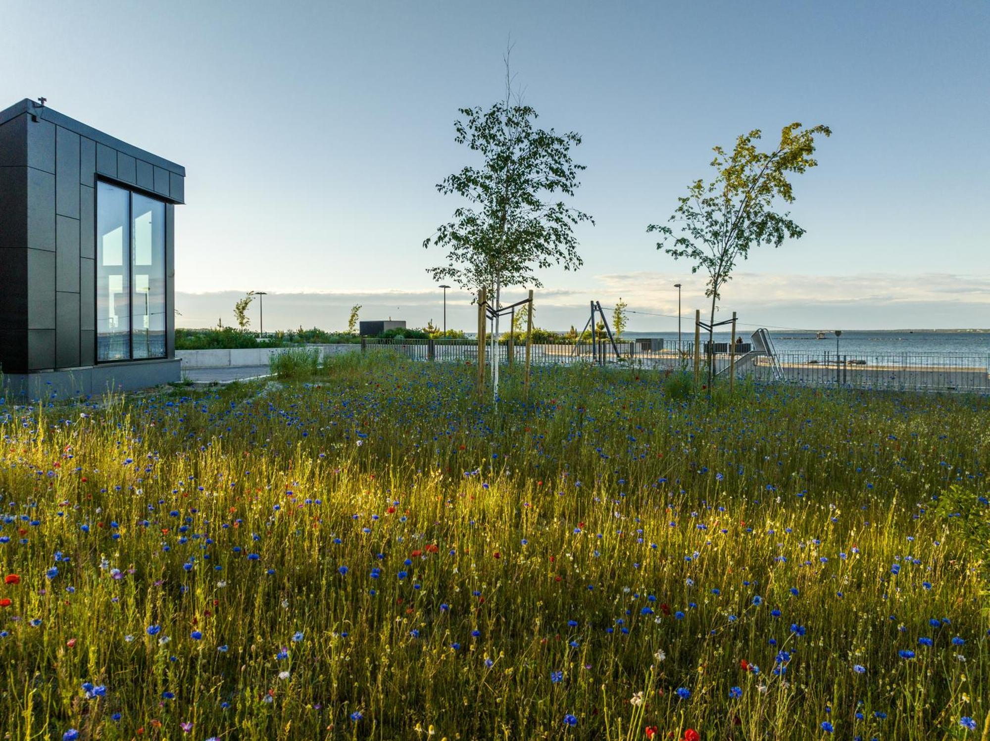 Stylish Waterfront With Lounge Terrace & Sauna Apartment
